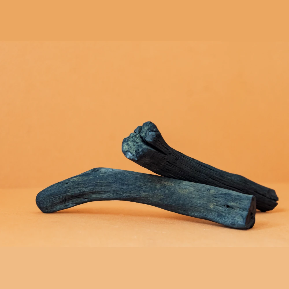 Charbons actifs Binchotan - Filtre à eau naturel | Kyuké